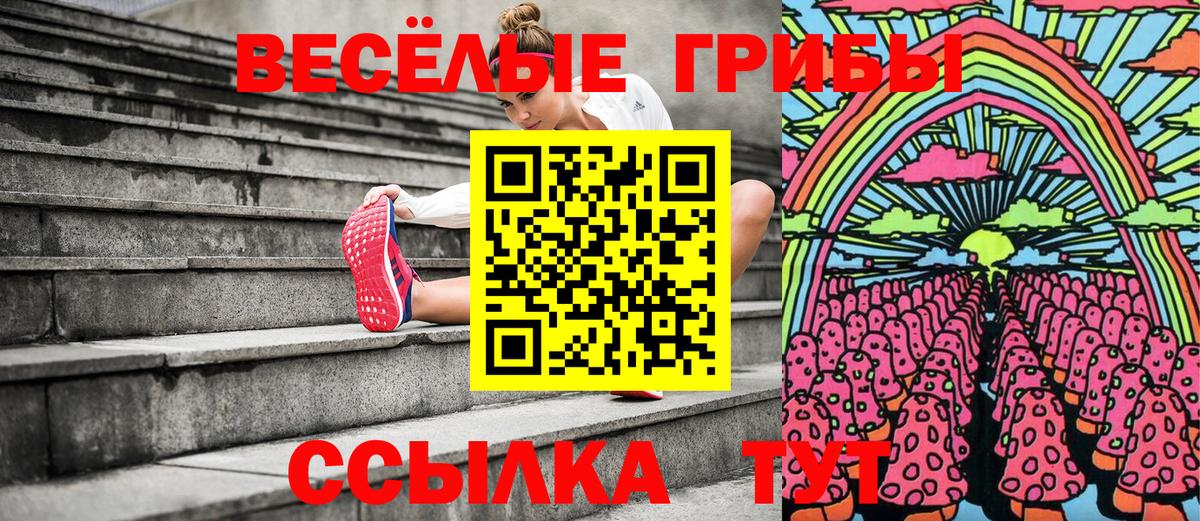 Псилоцибиновые грибы Psilocybine cubensis Минусинск
