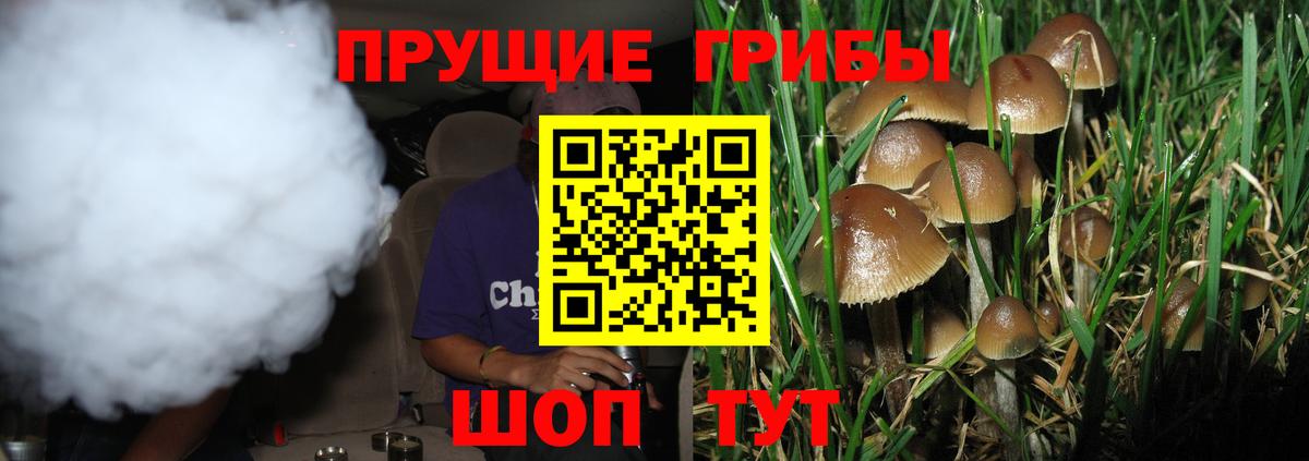 Минусинск  Псилоцибиновые грибы Magic Shrooms  Вход с VPN  Псилоцибиновые грибы GOLDEN TEACHER 